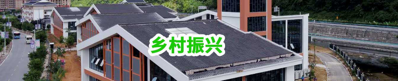 村落振兴