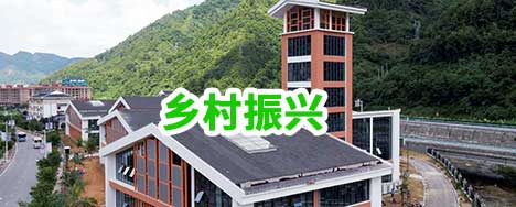 村落振兴